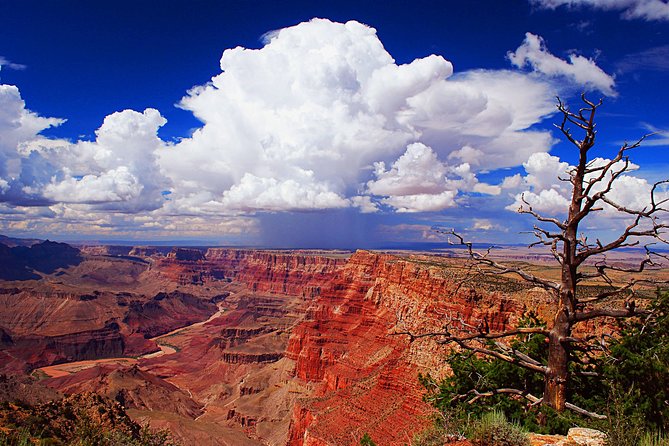 3 Hour Off-Road Sunset Safari to Grand Canyon With Entrance Gate Detour - Customer Testimonials