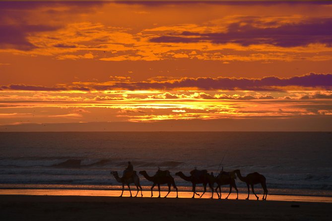 3 Hours Ride on Camel at Sunset - Scenery and Landscapes