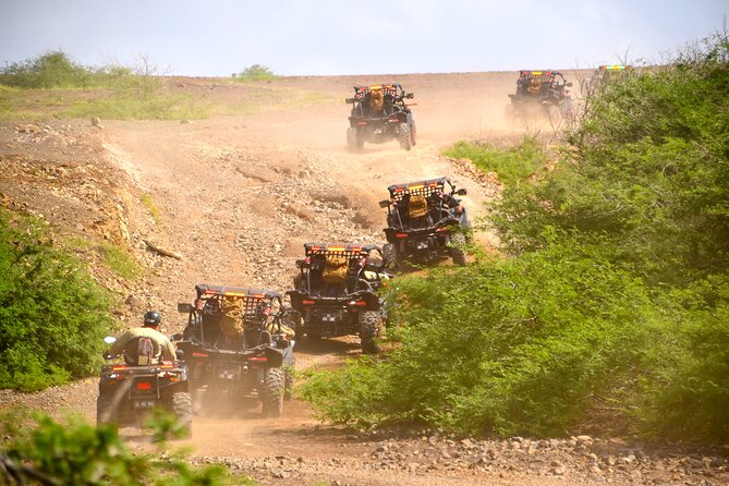 4h SSV Buggy Island Adventure - 1000cc or 500cc - Booking and Cancellation
