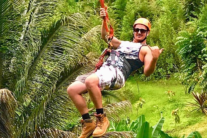 5 Line Jungle Zipline Eco Adventure - Ziplining Through a Lush Landscape