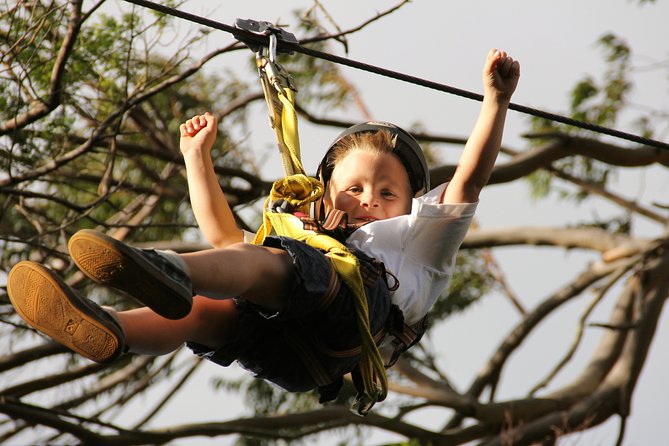 7-Line Maui Zipline Tour on the North Shore - Transportation and Accessibility