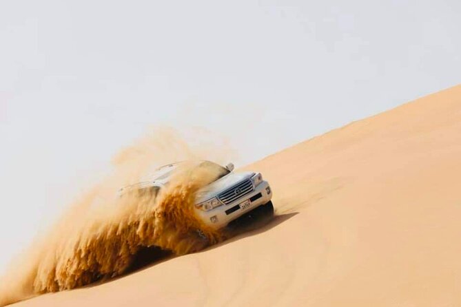 Abu Dhabi: Evening Desert Safari With Camel Ride, BBQ & Live Show - Meeting and Pickup
