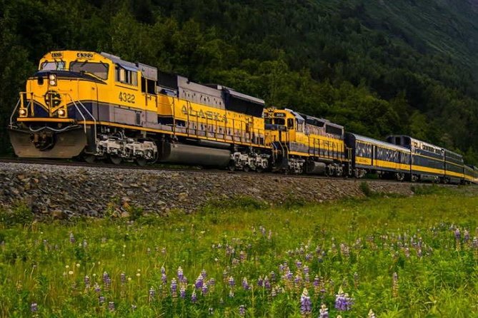 Alaska Railroad Anchorage to Seward Round-Trip Same Day Return - Infant and Service Animal Policy