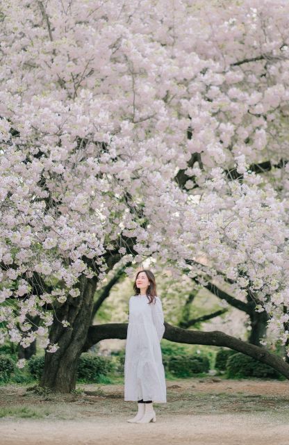 An Intimate Journey Through Tokyos Hidden Gems With Mimi - Serene Strolls in Shinjuku Park