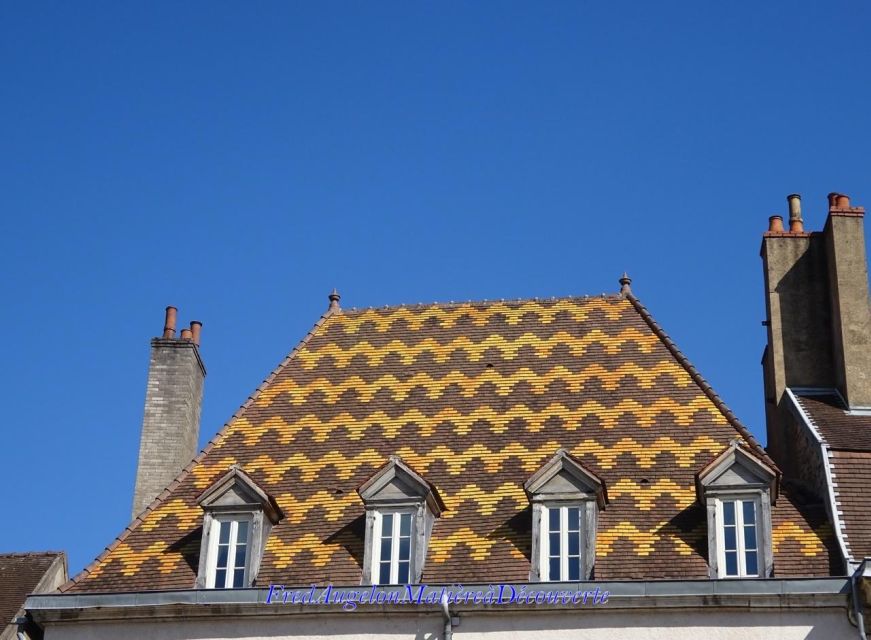 An Over-Look at the City With Shiny Roofs ! - Admiring the Roofs Enchanting Designs