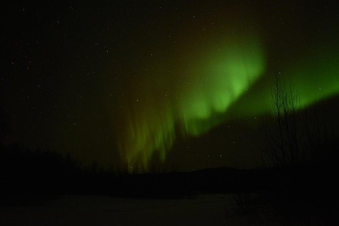 Arctic Circle and Northern Lights Tour From Fairbanks - Additional Information