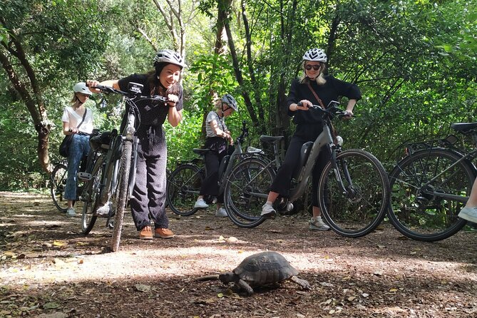 Athens Small Group Electric Bike Tour - Tour Focus and Experience
