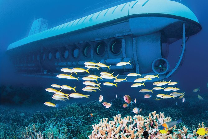 Atlantis Submarine From Kona Beach - Positive Reviews From Visitors