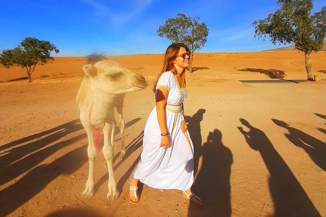 Atlas Mountains, 3 Valleys & Agafay Desert From Marrakech-Daytour - Experiencing a Camel Ride