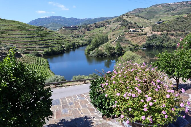 Authentic Douro Wine Tour Including Lunch and River Cruise - Winery Visits and Tastings