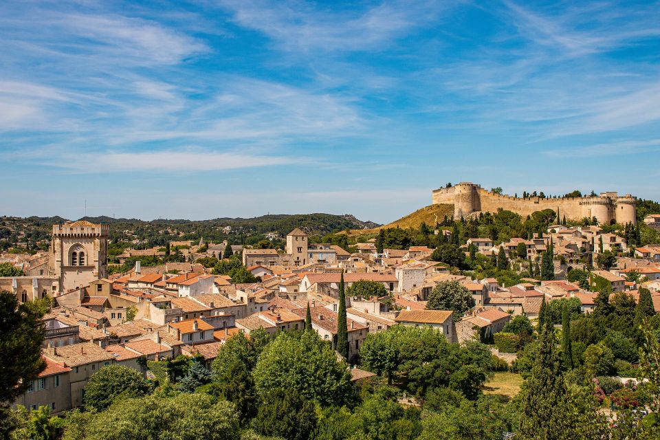 Avignon Private Guided Tour and Wine Tastings From Marseille - Itinerary