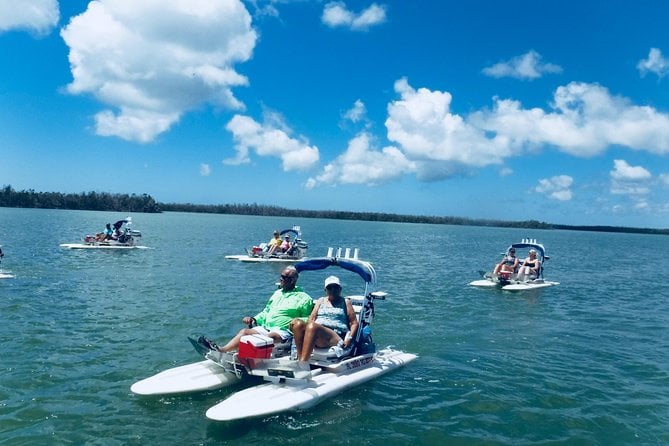 Backwater Adventures CraigCat Tours of the 10,000 Islands - Photographic Opportunities