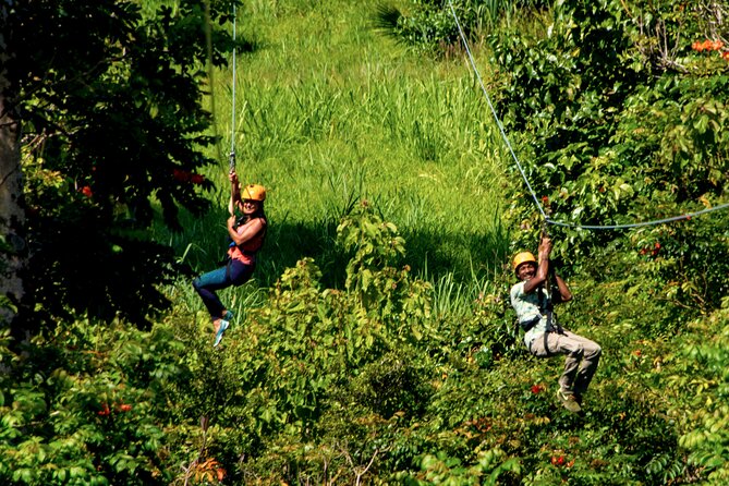Big Island Zipline Adventure - Scenic Rainforest