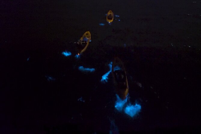 Bioluminescence Kayak Tour - Recommended Attire