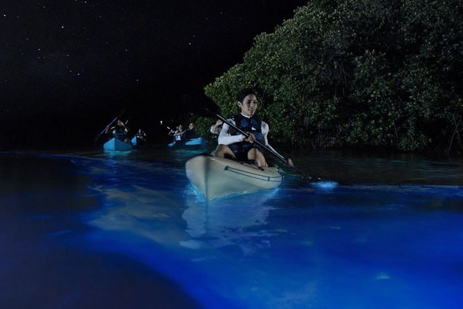Bioluminescent Kayak Tour by THE #1 Rated Company in Cocoa Beach - Maximum Travelers