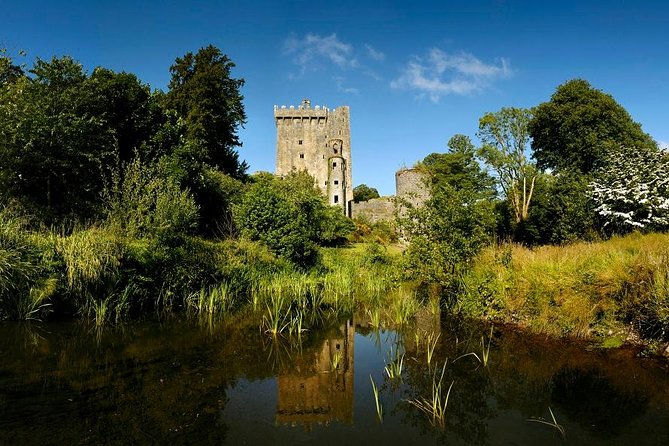 Blarney Castle Day Tour From Dublin Including Rock of Cashel & Cork City - Discovering Cork City