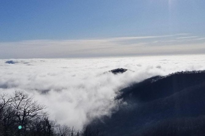 Blue Ridge Parkway Waterfalls Hiking Tour From Asheville - Cancellation Policy