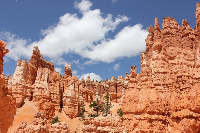 Bryce Canyon and Zion National Park Day Tour From Las Vegas - Zion National Park Exploration