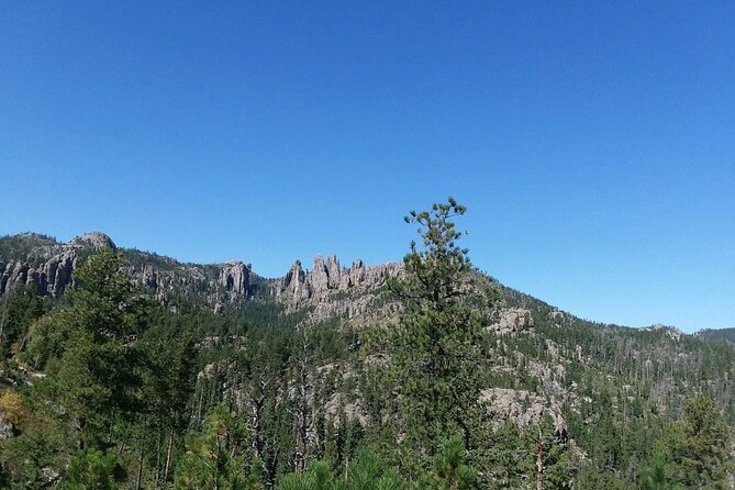 Bus Tour of Mount Rushmore and the Black Hills - Mount Rushmore Visit