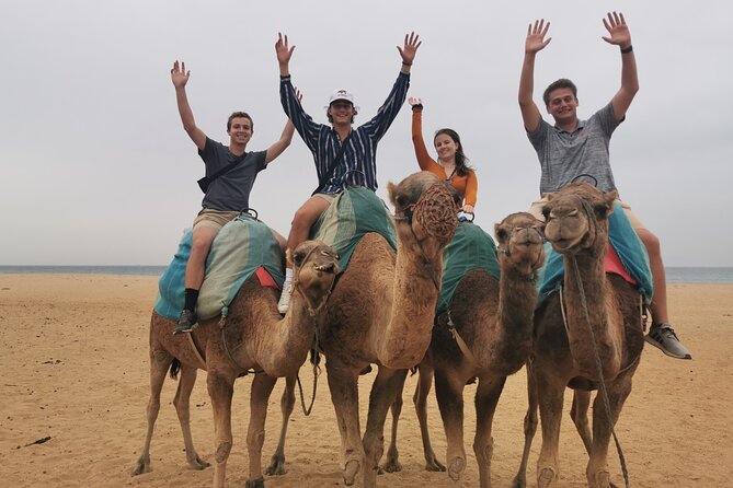 Camel Ride in Tanger - Additional Information
