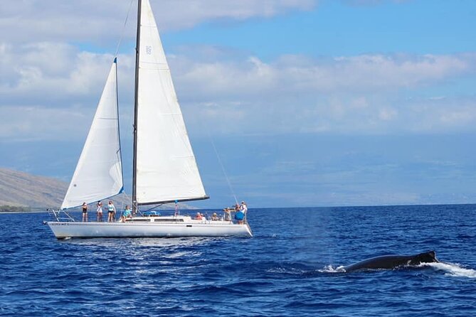 Champagne Sunset Sail From Lahaina Harbor - Tour Duration and Group Size