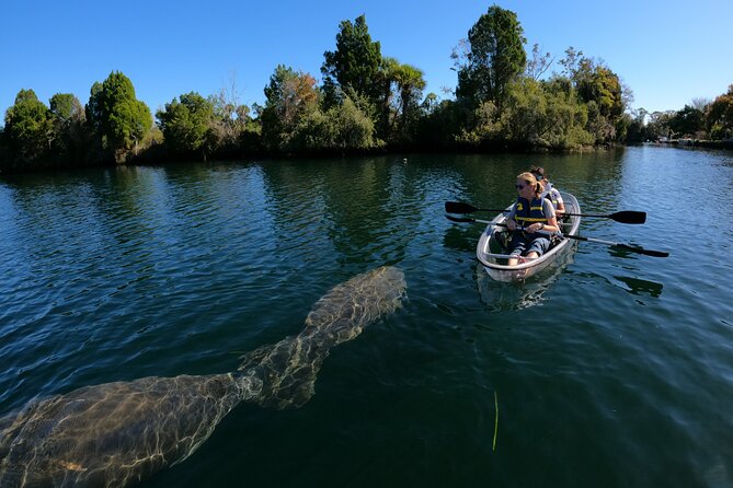 Clear Kayak Manatee Ecotour of Crystal River - Guides