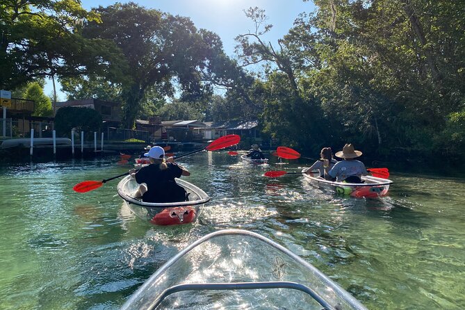 Clear Kayak Tours in Weeki Wachee - Weight Limits and Group Size