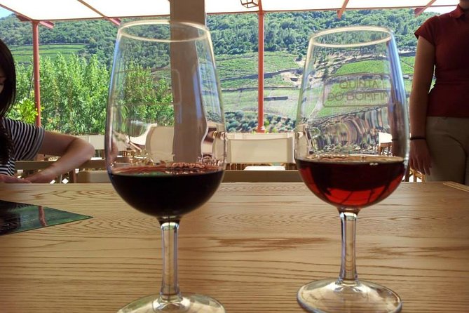 Complete Douro Valley Wine Tour With Lunch, Wine Tastings and River Cruise - Learning About the Wine Heritage