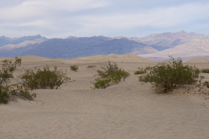 Death Valley Small Group Day Tour From Las Vegas - Cancellation Policy