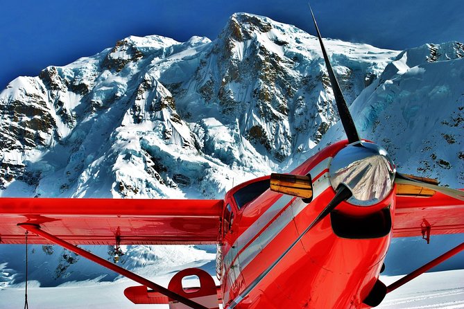 Denali Flyer Flightseeing Tour From Talkeetna - Accessibility Information