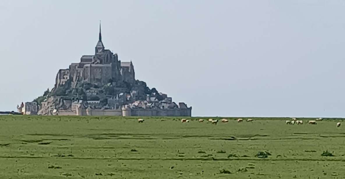 Discovering the Mont Saint Michel - Experiencing Local Farming