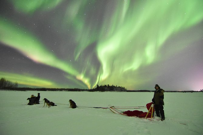 Dog Sledding and Mushing Experience in North Pole - Private Tour Highlights