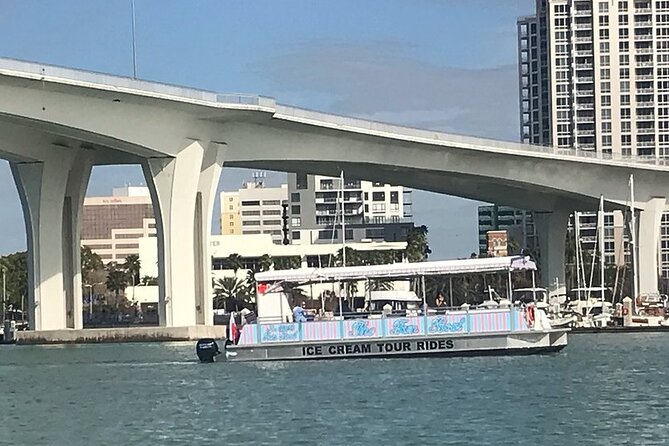 Dolphin Boat Tour in Clearwater Beach With Free Ice Cream - Positive Reviews