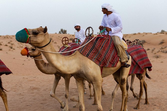 Dubai Camel Desert Safari, Traditional Meal & Heritage Activities - Emirati Dinner and Entertainment