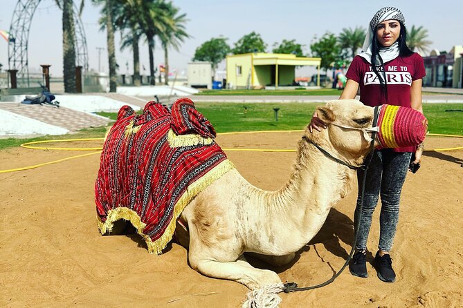 Dubai Desert Safari With Camel Ride Sand Board & BBQ Dinner - Henna Painting and Shisha