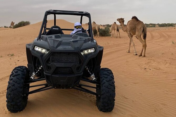 Dubai: Extreme Red Dune Buggy Desert Safari Adventure - Accessibility and Restrictions
