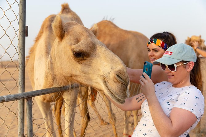 Dubai Premium Desert Safari With BBQ Dinner in Red Dunes - Recommendations and Restrictions