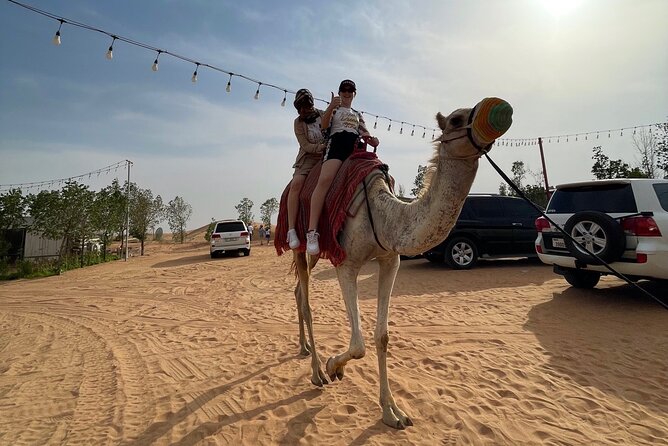 Dubai: Red Dunes, Sandsurf, Camel Ride, BBQ Dinner at Desert Camp - Live Shows at Desert Camp