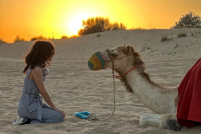 Dubai Sunset Red Dune Desert Safari, Sandboarding and Camel Ride - Cancellation Policy