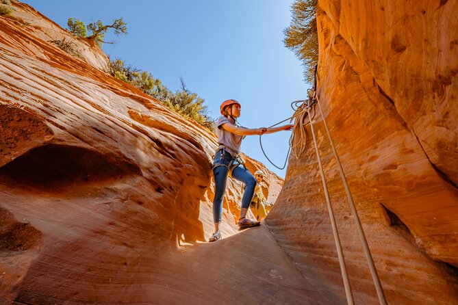 East Zion: Coral Sands Half-day Canyoneering Tour - Client Reviews