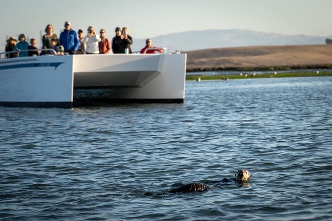 Elkhorn Slough Wildlife Tour - Cancellation Policy