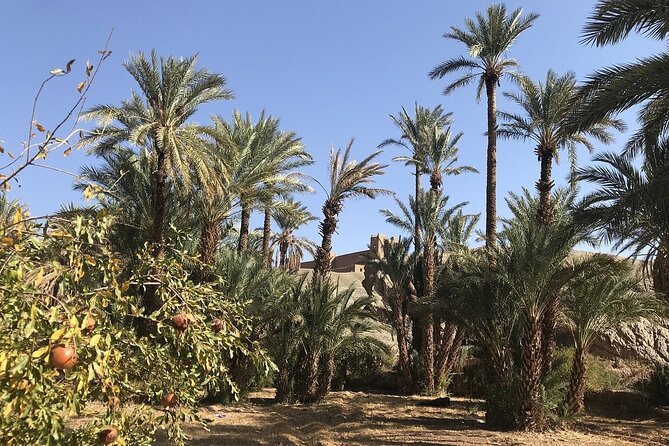 Excursion From Ouarzazate to the Draa Valley, Zagora and the Tinfou Dunes - Exploring the Draa Valley