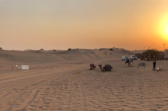Exhilarating Desert Safari, Including BBQ Dinner From Dubai - Group Size