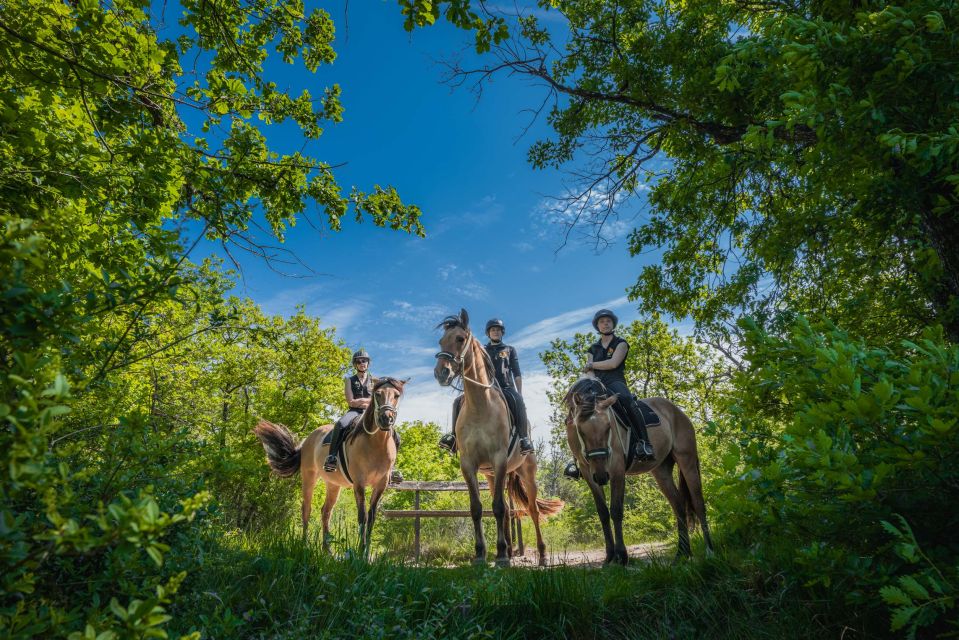 Fontainebleau: Horse-riding, Gastronomy & Château - Transportation and Skip-the-Line Access