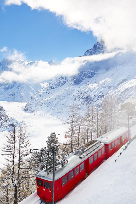 From Geneva: Independent Half-Day to Chamonix Mont-Blanc - Cable Car Ride