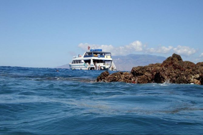 From Maalaea Harbor: Whale Watching Tours Aboard the Quicksilver - Directions to Meeting Point