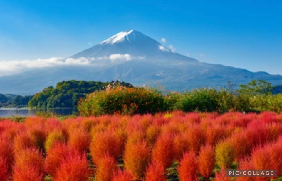 From Tokyo/Hakone/Fuji: Hakone & Mt. Fuji Day Trip W/Pickup - Visiting the Oshino Hakkai Ponds