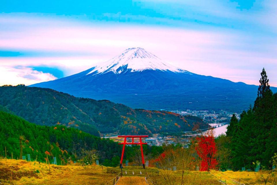 From Tokyo: Private Mount Fuji & Hakone Full-Day Guided Trip - Oshino Hakkai Attraction