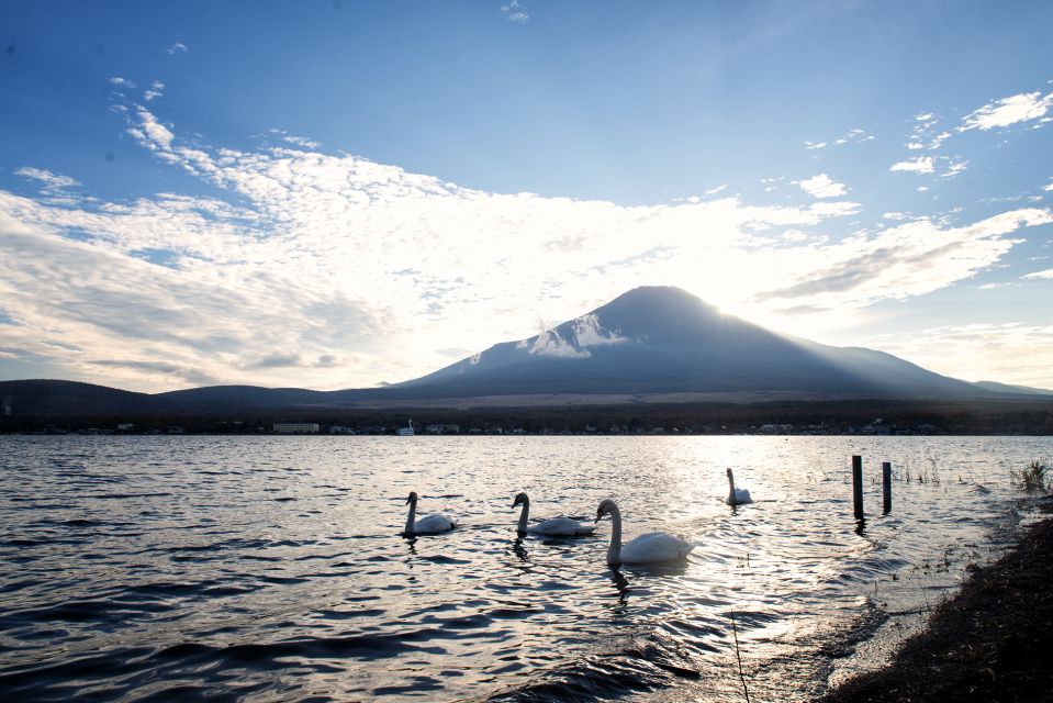 From Tokyo: Private Sightseeing Tour to Mount Fuji & Hakone - Hakone Boat Cruise