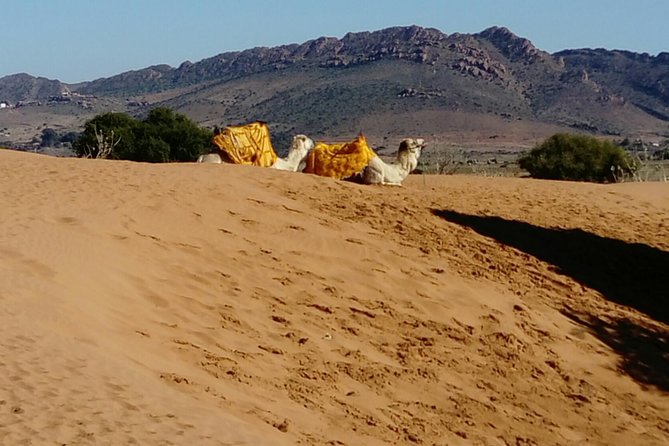 Full-Day Safari Small Desert With Lunch - Mini Sahara Rally